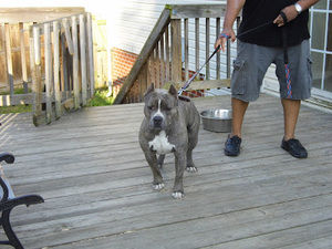 Meet your Posher, Omar